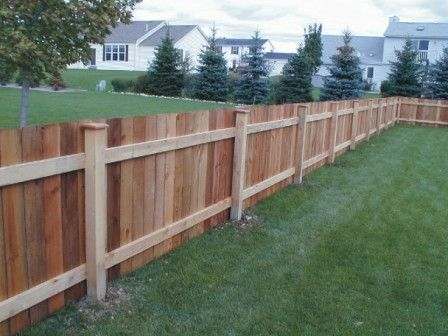 fence and green yard